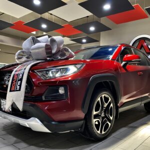 TOYOTA RAV4 ADVENTURE 2019